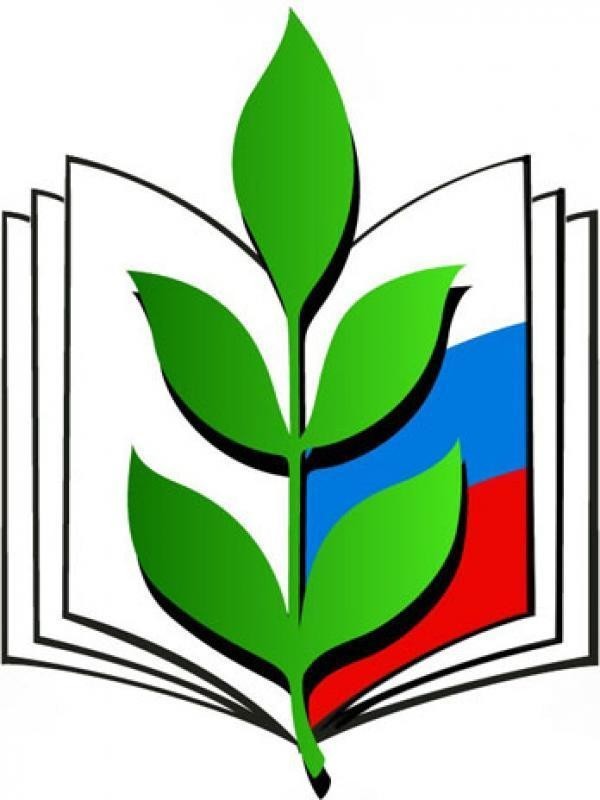 Изображения.